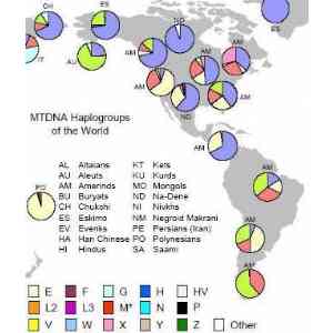 1B Mapa Haplogrupos de ADN mitocondrial nivel mund